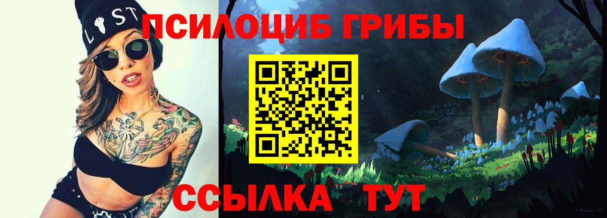 Галлюциногенные грибы MAGIC MUSHROOMS  Вход с VPN  Майкоп 