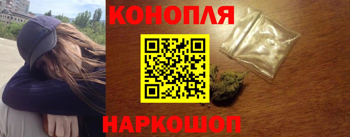 Каннабис OG Kush Майкоп